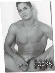 PIN-UP Calendar Real Cocks 2026 Set of 10 Juodas & Baltas A3 Photos