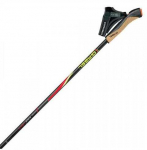 Gabel FX-75 Snake Carbon 120cm