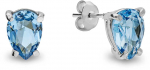 Sidabriniai auskarai su Swarovski kristalais Brasco 55769