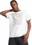 Puma Mar&scaron;kinėliai Vyrams Graphics Baltas 684825 02