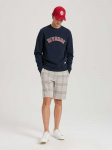 men's shorts manfilz zips sh w452 - pilkas