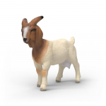 Schleich figūrėlė Būrų veislės ožka