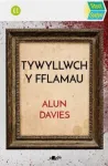 KNYGA Alun Davies Stori Sydyn: Tywyllwch y Fflamau