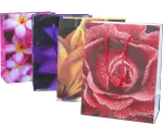 Bagland Flower Emotions 3 popieriniai dovanų mai&scaron;eliai - 160 gsm Economy Pack - 12 asorti pakuotė, 26 x 32 x 10 cm