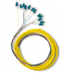 Qoltec 12 x LC/UPC &scaron;viesolaidinė ko&scaron;ė | Vienmodis | G657A2 | 2 m