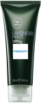 Formavimo kremas garbanotiems plaukams Paul Mitchell Lavender Mint Taming Kreminis 100 ml