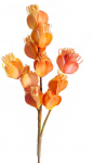 Eurofirany KW/FLORE/754/POM POMA+C.R