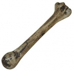 ESPA Dirbtinis kaulas
