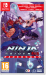 Dotemu Silverlit Ninja Gaiden: Įnir&scaron;io banga