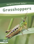 KNYGA Dalton Rains Grasshoppers