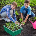 3 sėklų daigyklos &ndash; 12 skyrelių, reguliuojamas drėgnumas, &scaron;iltnamis