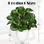 Hollyone dirbtinis augalas vazone, mažas meno žalios spalvos augalas, dirbtinė peperomija, dekoratyviniai augalai, kaip tikri, dirbtinis bonsai augalas svetainei, miegamajam, palangei, stalo dekoravimui