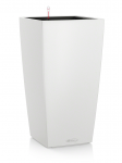 Lechuza Cubico Color 30