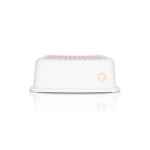 Pink Rožinė Laiptelis Colibro Step 1, Rožinė