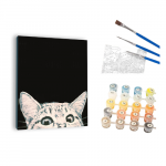 Winder Home Tapyba pagal skaičius &ndash; paveikslas, dažai, teptukai, rinkinys &bdquo;Smalsi katė tamsiame fone&ldquo;, 40&times;50 cm