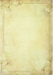 Galeria Papieru Popierius diplomams A4 190g 20l GINKGO