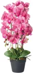 Beliani Dirbtinis augalas ORCHID 65 cm, rausvas