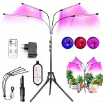 4x lempa augalų auginimui 80 led stovas trikojis laikmatis + nuotolinio valdymo pultas 40w