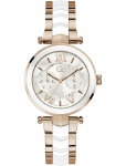 Laikrodis Watches GC LADIES Y92005L1MF