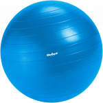 Reabilitacinis gimnastikos kamuolys 65 cm su rankine pompa, mėlynas, REBEL ACTIVE