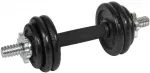 KETUS hantelis 7 KG EB FIT DĖKLAS