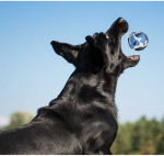 TENISO KAMULIAI &Scaron;UNIMS, 3 VNT