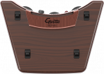 Guitto GGP-01 - keitiklis