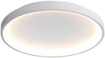 50W LED lubinis &scaron;viestuvas RADEN, baltas, 3000/4000/6000K