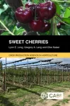 KNYGA Lynn Long Sweet Cherries