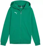 Puma teamGoal Casuals Vaikų džemperis su gobtuvu, Žalias 658596 05