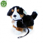 Rappa Pliu&scaron;inis Bernese 22 cm EKOLOGI&Scaron;KAS