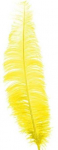 Fiesta Geltonos stručio plunksnos 40 cm, 12 vnt.