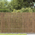 Nendrinių Tvora Natūrali 300 x 160 cm Nendrės