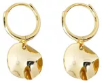 Stilingi auskarai Pure Gold