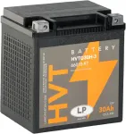 Landport akumuliatorius Hvtg30h-3 Gel 12 V 30 Ah, suderinamas su Hd Chopper Motorcycle Fl, Flh, Flhr, Flhtc, Flhx, Xlh, Road King, Electra Glide, Street Glide