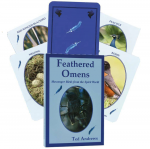 Kiti Prekiniai Zenklai Feathered Omens Spiritual kortos Dragonhawk Publishing