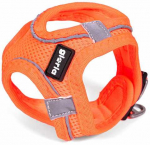 &Scaron;uns pakinktai Gloria Trek Star 29,4-32,6 cm 41,4-43 cm Oranžinė S