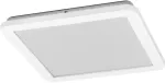 Lubinis &scaron;viestuvas 22W LED pavir&scaron;inis vonios &scaron;viestuvas ORBIS DISC, baltas, 3000/4000K, IP44