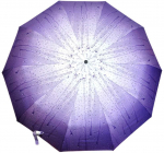 Automatinis moteri&scaron;kas skėtis - Violetinė