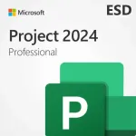 &bdquo;Microsoft&ldquo; licencija FPP PROJECT PRO 2024 ESD ALL LNG