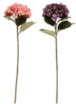 Dirbtinė gėlė HYDRANGEA, įv. spalvų, 80 cm