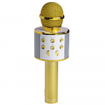 Mikrofonas su głośnikiem BT do karaoke Denver KMS-20 auksinė