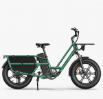 Elektrinis dviratis Fiido T2, 20", 750W, žalias