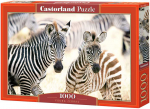 Castorland dėlionė Young Zebras 1000 det