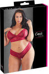 Cottelli Curves Liemenėlė ir Raudona kelnaitės 2XL