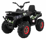 Ramiz Elektrinis keturratis ATV Desert, Moro