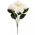 Dirbtinių hortenzijų puok&scaron;tė, ivory