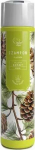Over Zoo Over Zoo Aroma Wash &Scaron;ampūnas &scaron;unims Pine 250ml