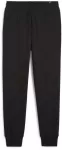 Puma Sportinės Kelnės Vyrams Ess+ Logo Lab Sweatpants Fl Juodas 681776 01