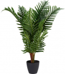 Dirbtinė palmė NOVA, &Oslash; 50 x 85 cm